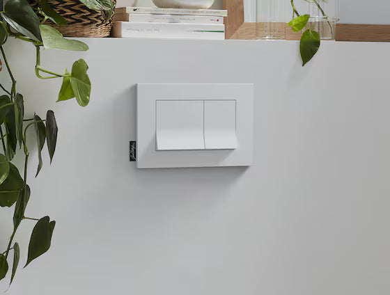 Dual-Flush Plate White E20858-00 By Jacob Delafon Paris