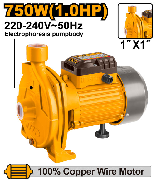 Pompe centrifuge 750W, hauteur max 30m, débit 110L/min.