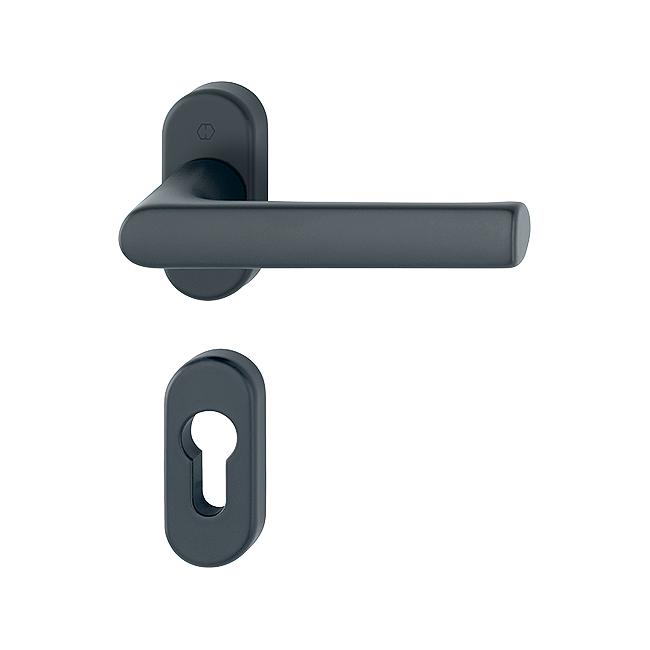 Poignée HAMBURG  By HOPPE en aluminium sur rosaces avec rosaces à entrée de clé, pour porte à profil , Noir Mat