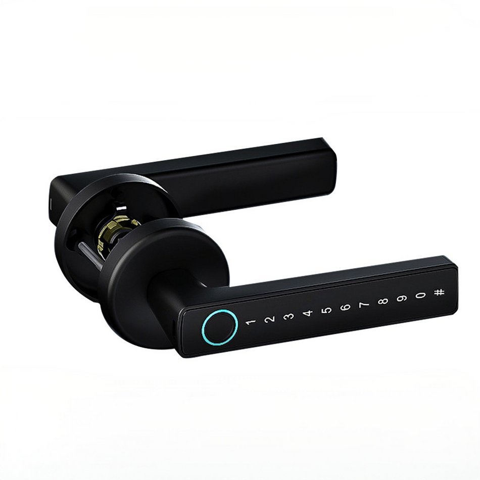 Poignée digitale intelligente X1 biométrique sans clé fonctionnant avec les applications Tuya Smart ou Smart Life pour porte intérieure