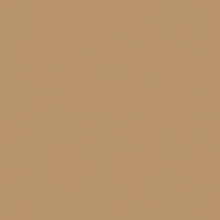 Juste le coloris capuccino sans rien d'autres.