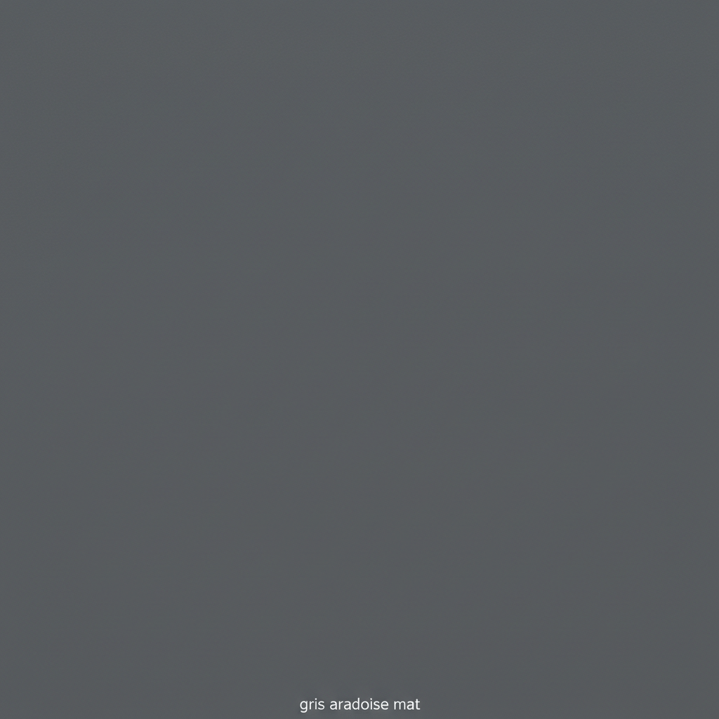 Juste le coloris gris ardoise mat sans rien d'autres.