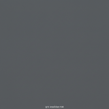 Juste le coloris gris ardoise mat sans rien d'autres.