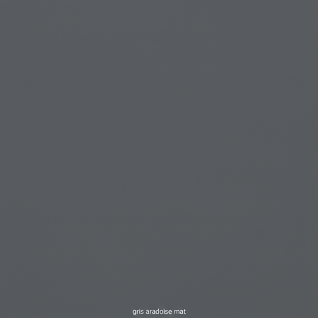 Juste le coloris gris ardoise mat sans rien d'autres.