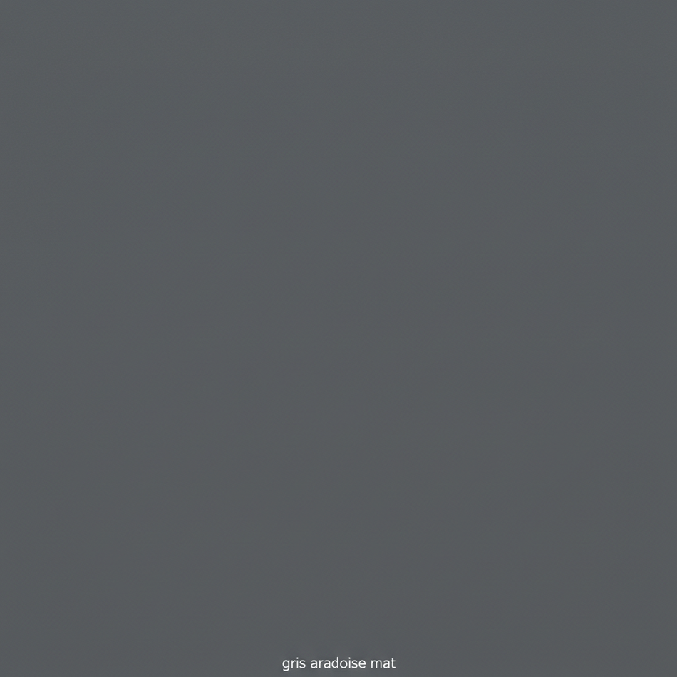 Juste le coloris gris ardoise mat sans rien d'autres.