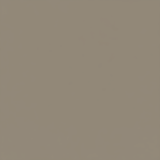 Juste le coloris taupe mat sans rien d'autres.