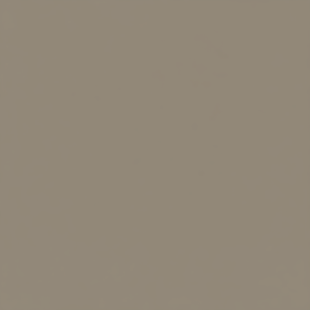 Juste le coloris taupe mat sans rien d'autres.