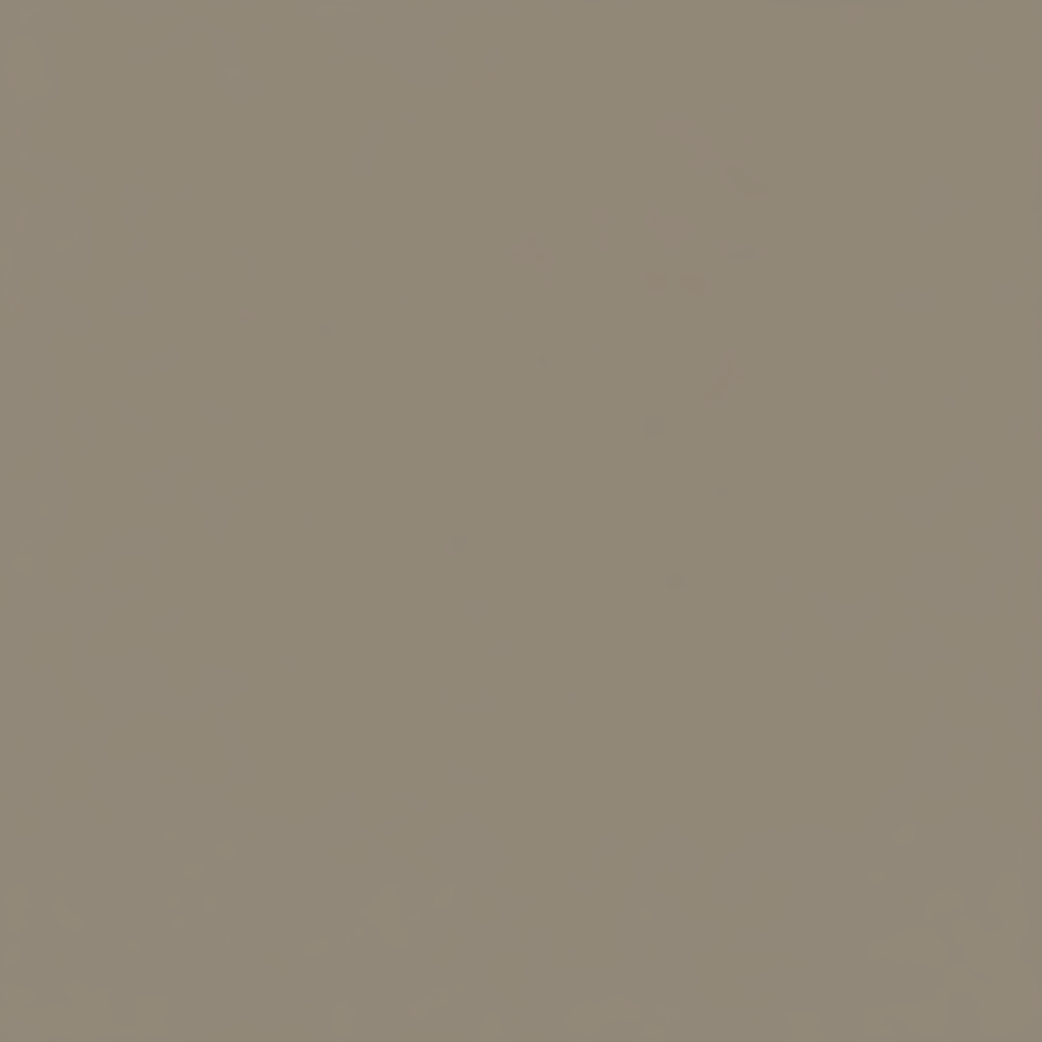 Juste le coloris taupe mat sans rien d'autres.