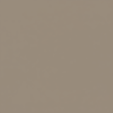 Juste le coloris taupe sans rien d'autres.