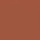 Juste le coloris terracotta mat sans rien d'autres.