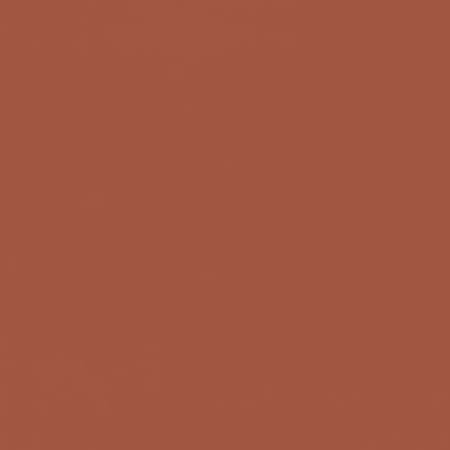 Juste le coloris terracotta mat sans rien d'autres.