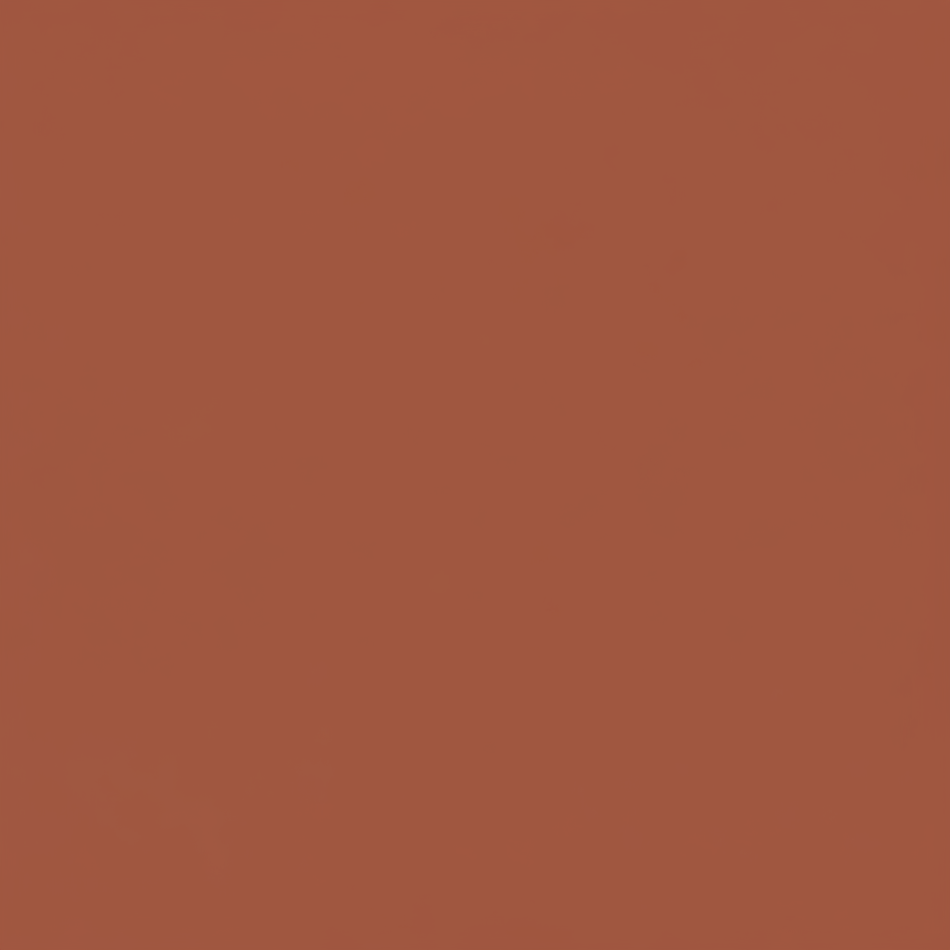 Juste le coloris terracotta mat sans rien d'autres.