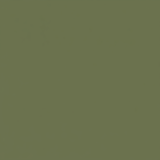 Juste le coloris vert olive mat sans rien d'autres.