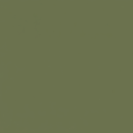 Juste le coloris vert olive mat sans rien d'autres.
