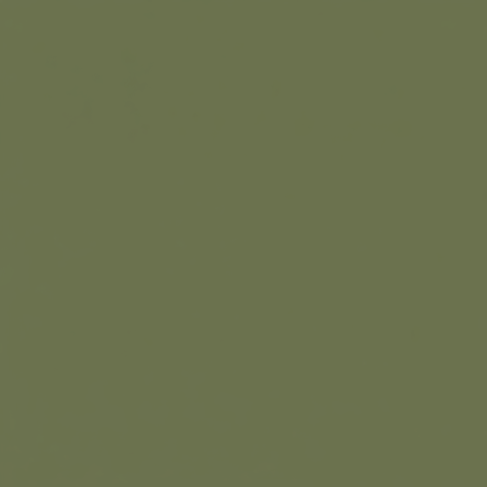 Juste le coloris vert olive mat sans rien d'autres.